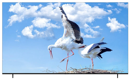 شاشة GATV-86W – تلفزيون ذكي 86 إنش webOS Hub مع Quantum Dot Nano Cell